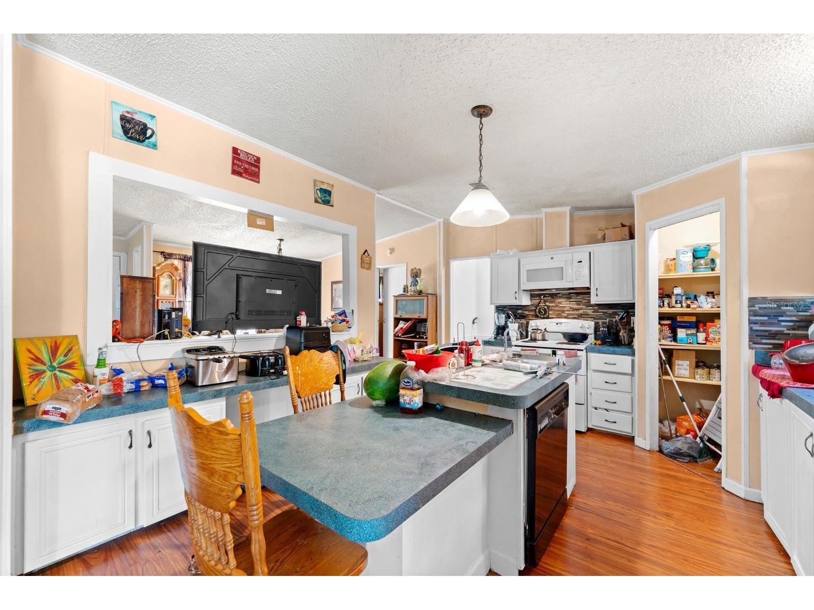 16143 Palacky Street Brooksville FL 34604 TB8515181 image7