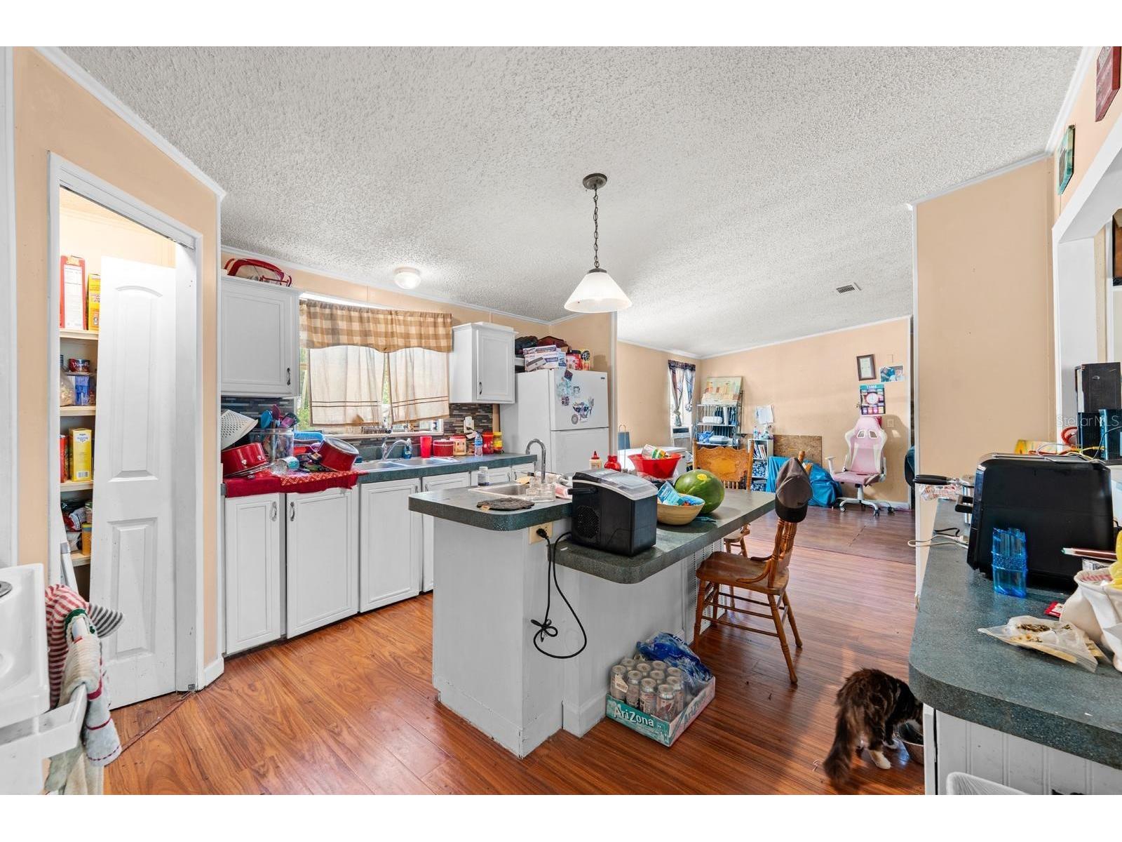 16143 Palacky Street Brooksville FL 34604 TB8515181 image8