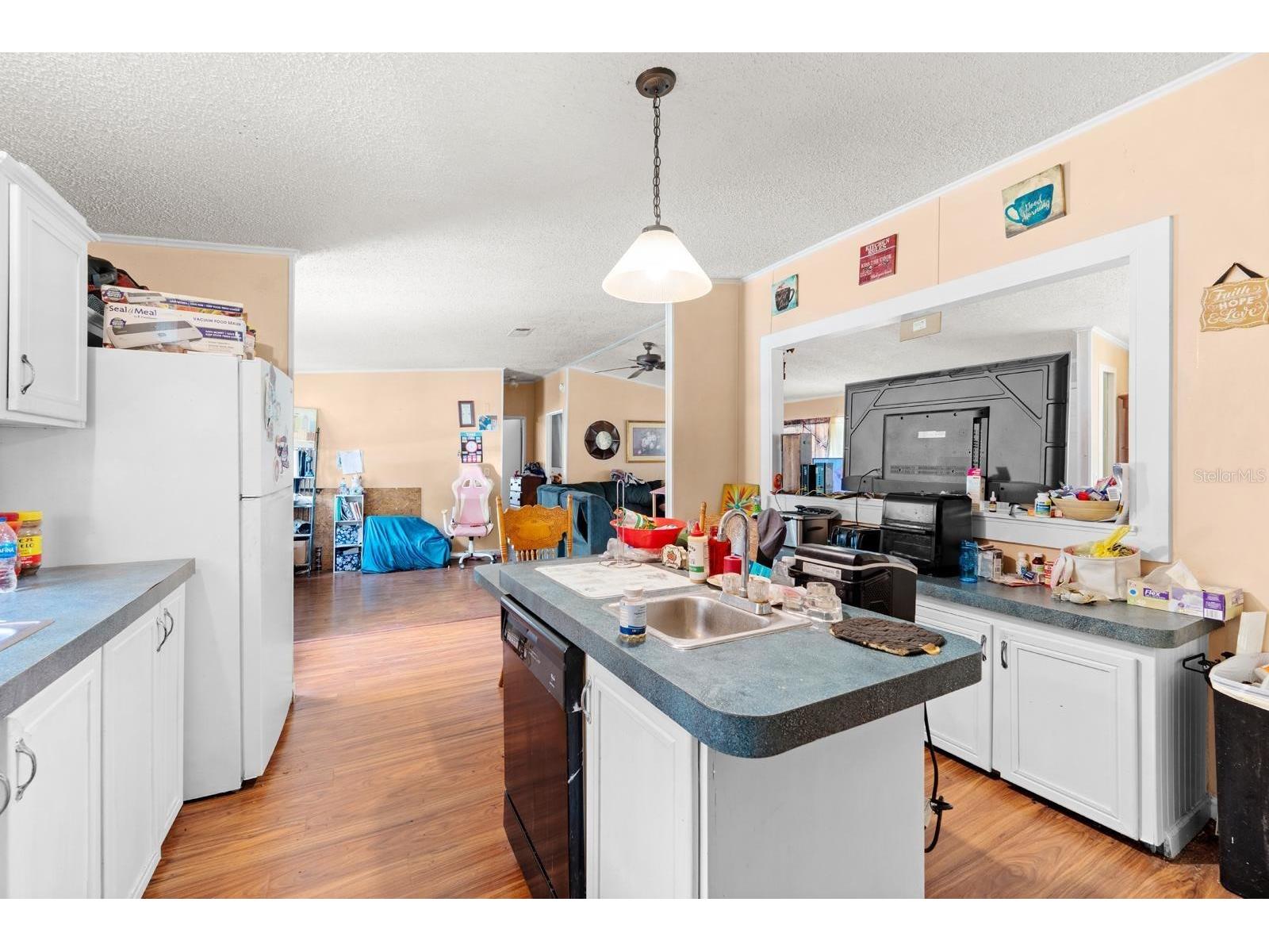 16143 Palacky Street Brooksville FL 34604 TB8515181 image9