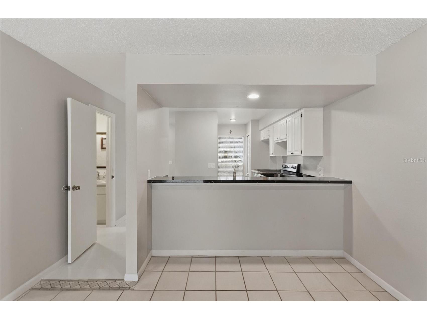 16143 Rambling Vine Drive E Tampa FL 33624 TB8487418 image12