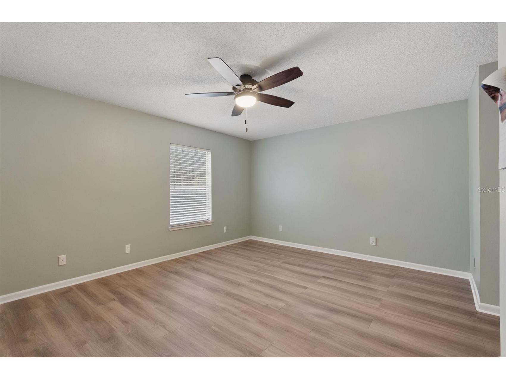 16143 Rambling Vine Drive E Tampa FL 33624 TB8487418 image24