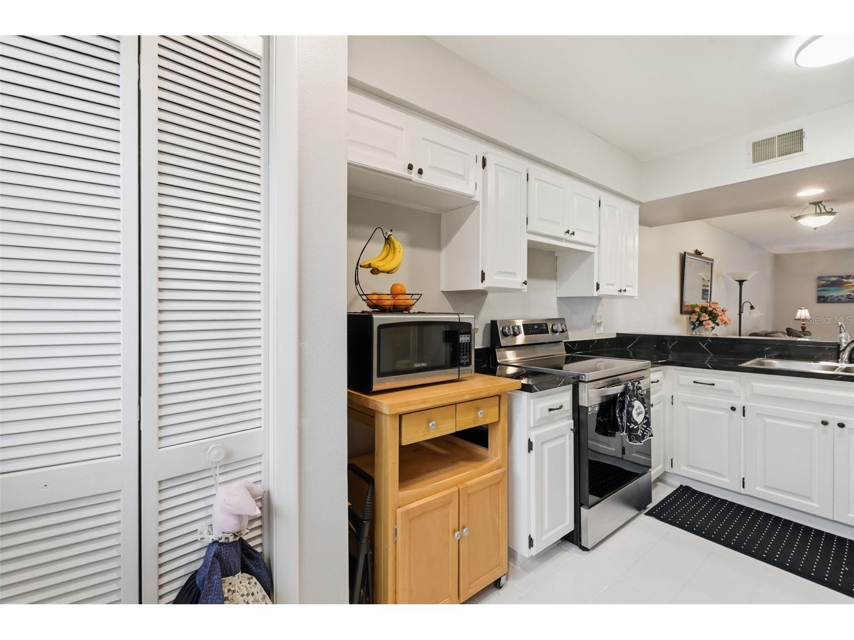 16143 Rambling Vine Drive E Tampa FL 33624 TB8487418 image58