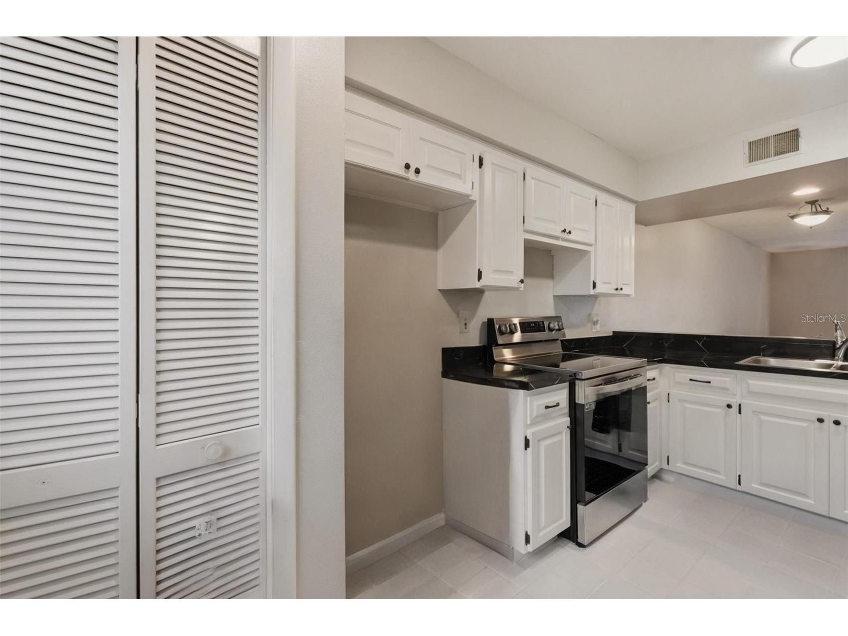 16143 Rambling Vine Drive E Tampa FL 33624 TB8487418 image8