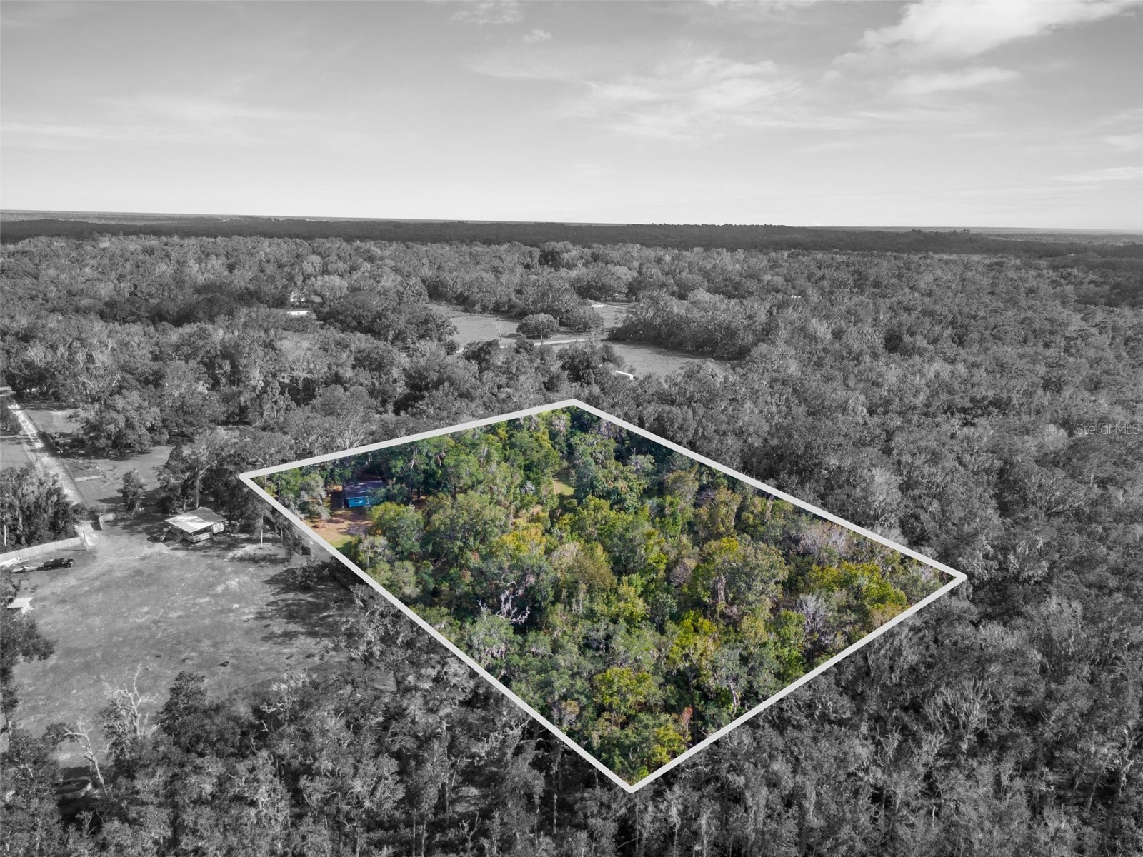 16145 Snow Memorial Highway Brooksville FL 34601 W7883279 image24