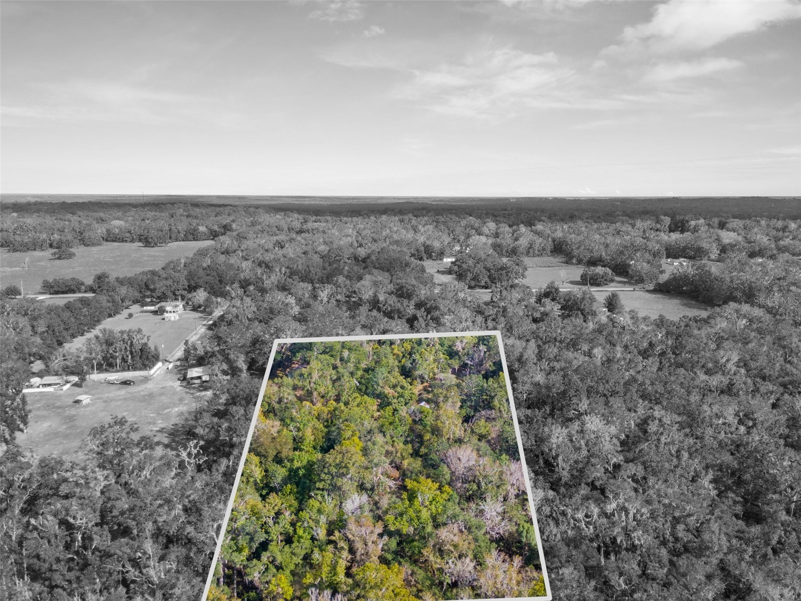 16145 Snow Memorial Highway Brooksville FL 34601 W7883279 image26