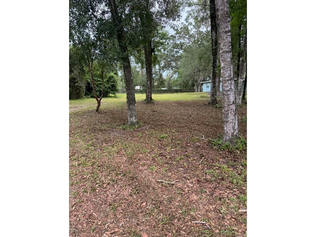 16145 Snow Memorial Highway Brooksville FL 34601 W7883279 image28
