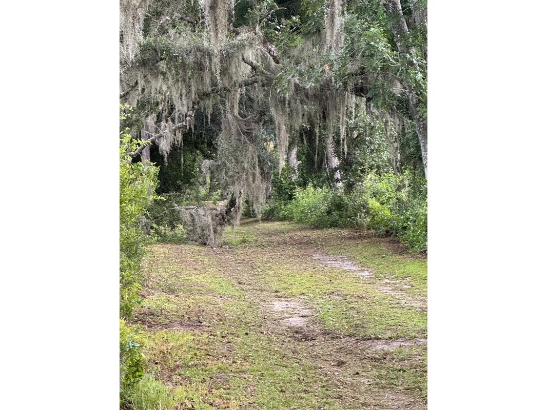 16145 Snow Memorial Highway Brooksville FL 34601 W7883279 image30