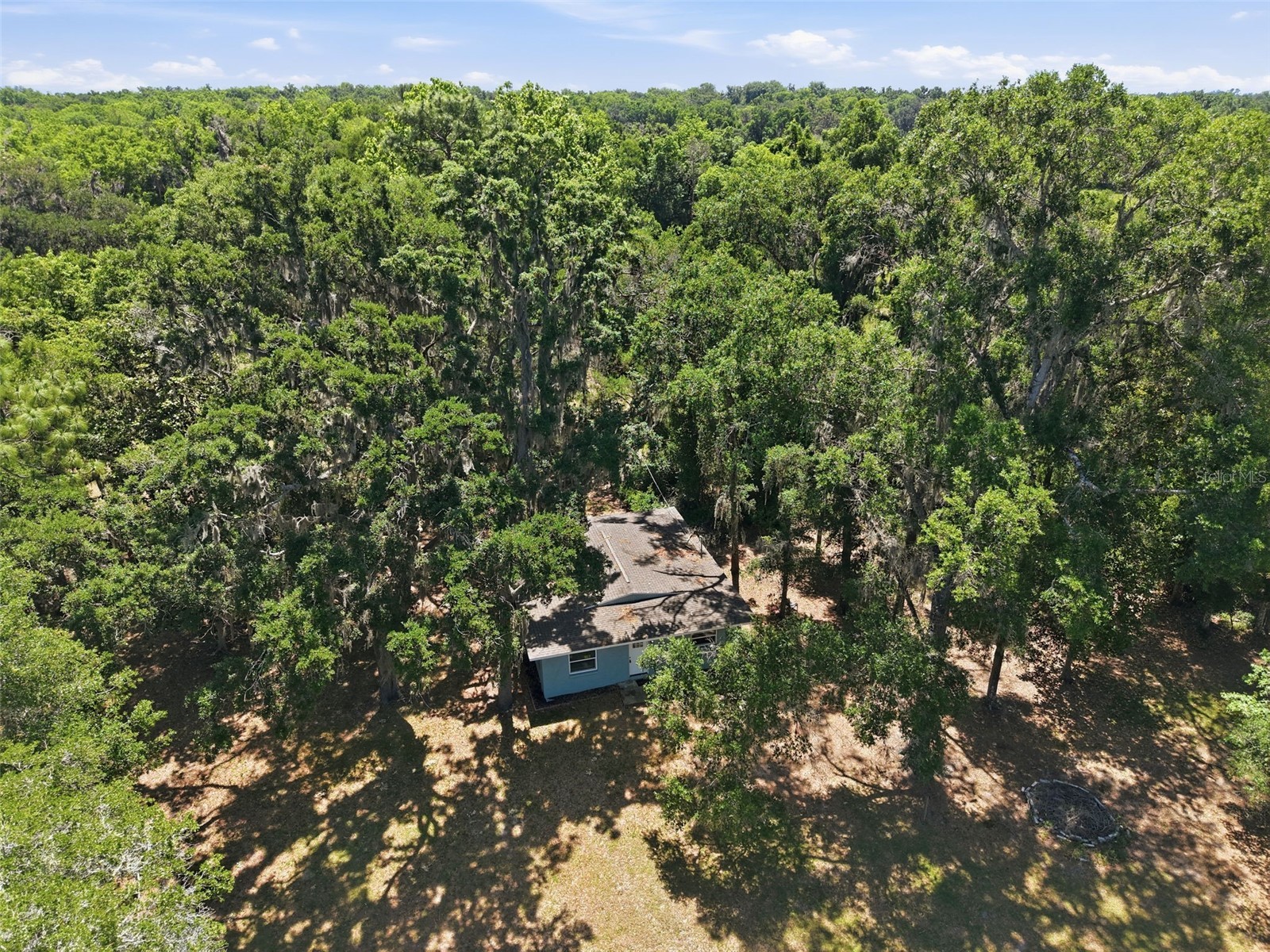 16145 Snow Memorial Highway Brooksville FL 34601 W7883279 image42