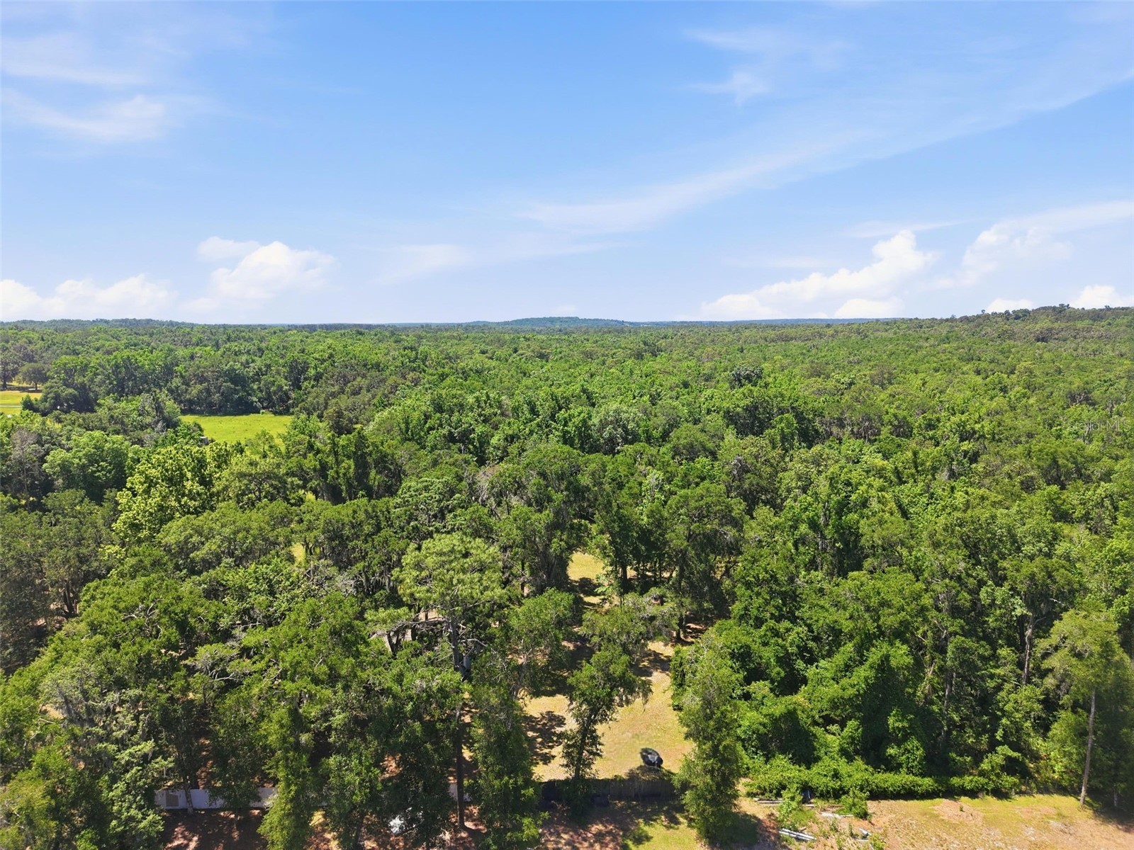 16145 Snow Memorial Highway Brooksville FL 34601 W7883279 image43