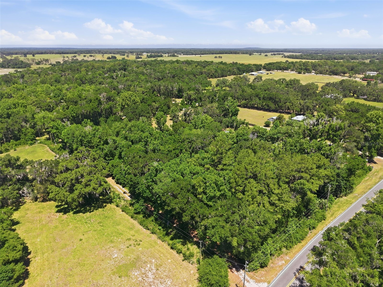 16145 Snow Memorial Highway Brooksville FL 34601 W7883279 image48