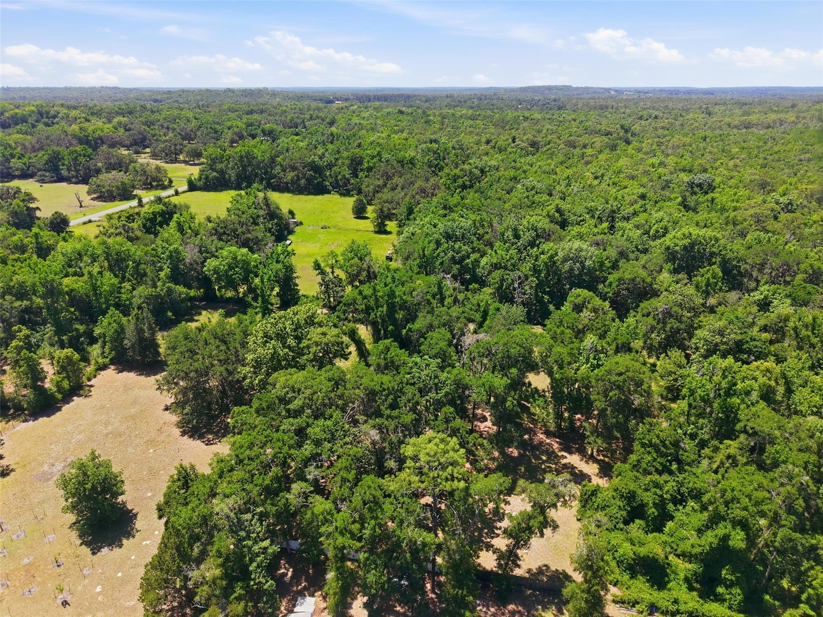 16145 Snow Memorial Highway Brooksville FL 34601 W7883279 image52