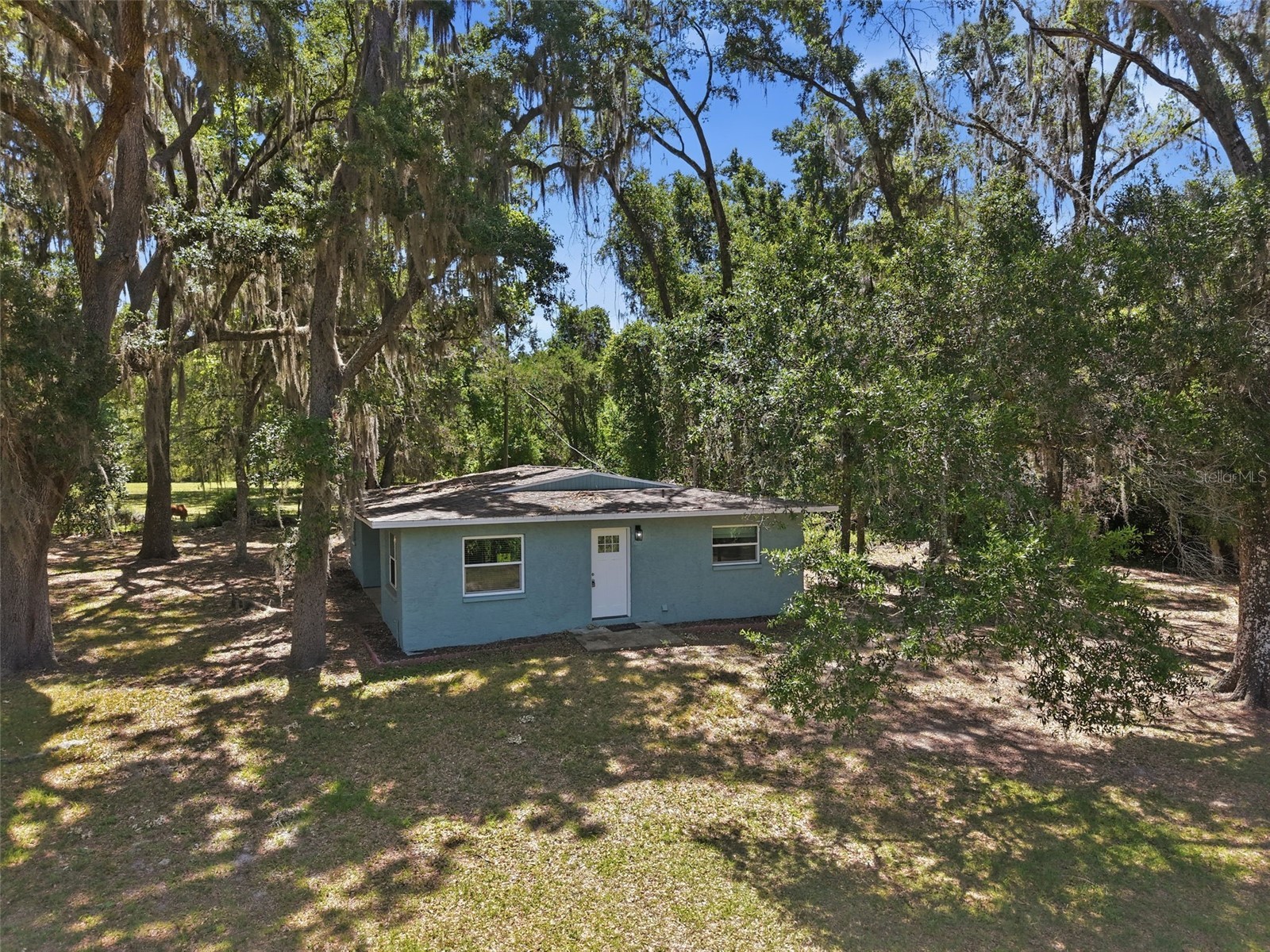 16145 Snow Memorial Highway Brooksville FL 34601 W7883279 image54