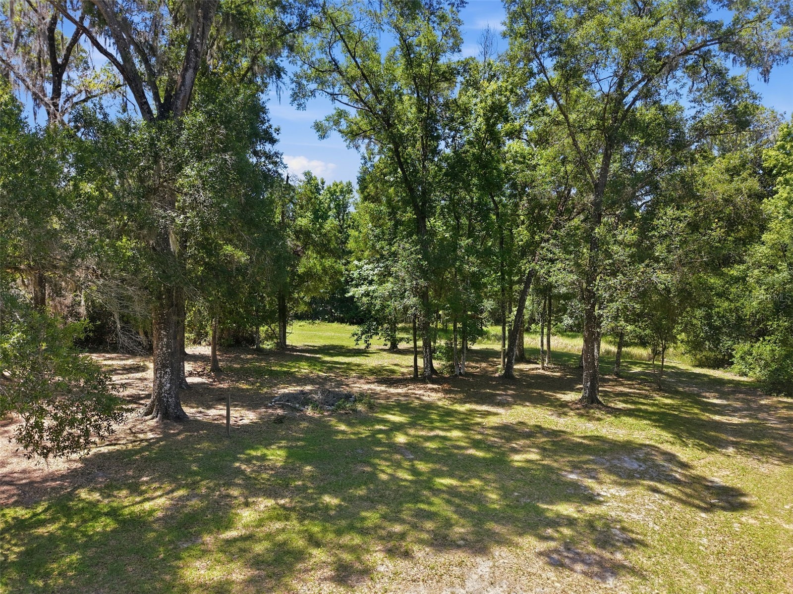16145 Snow Memorial Highway Brooksville FL 34601 W7883279 image55