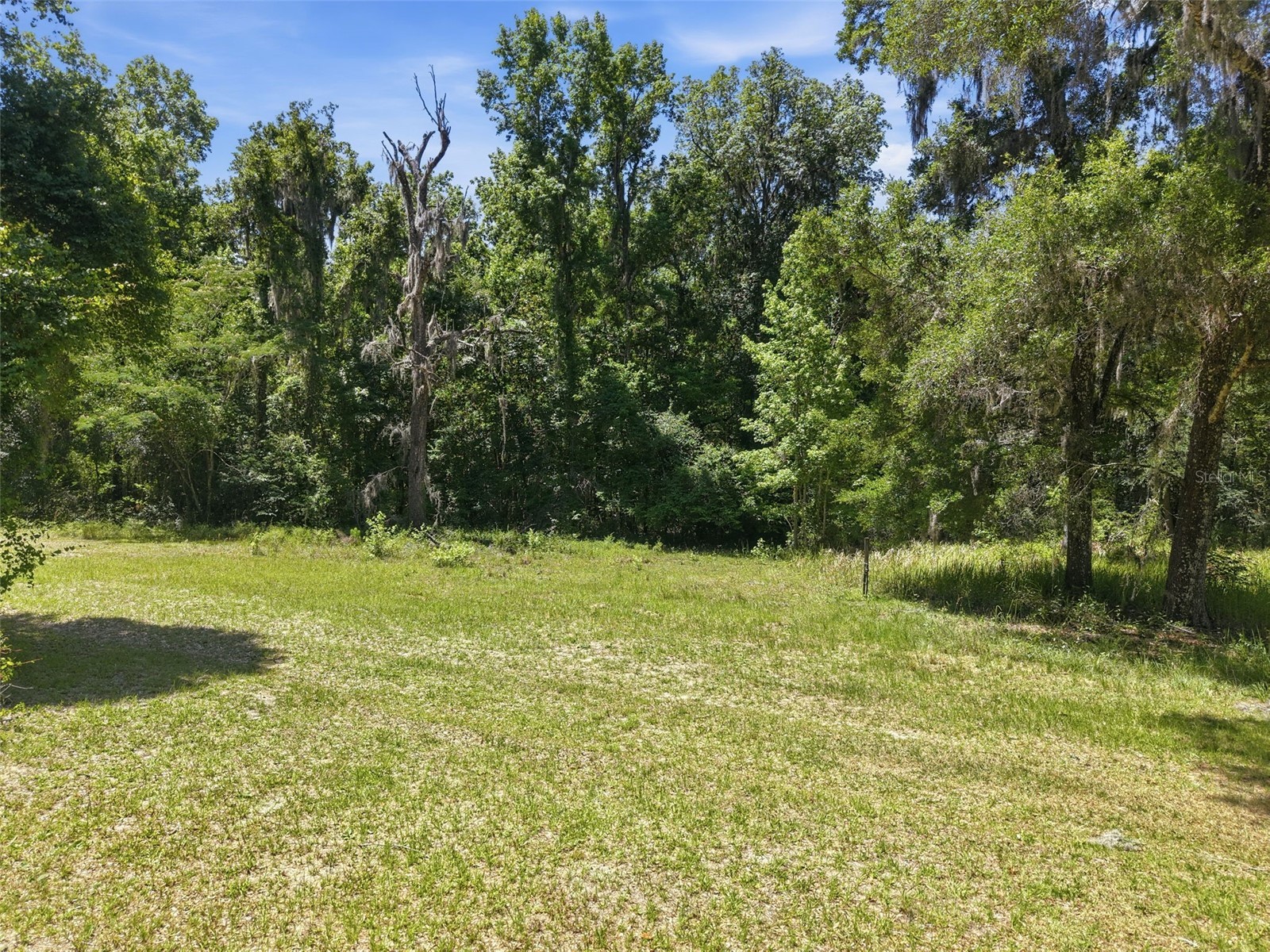 16145 Snow Memorial Highway Brooksville FL 34601 W7883279 image56