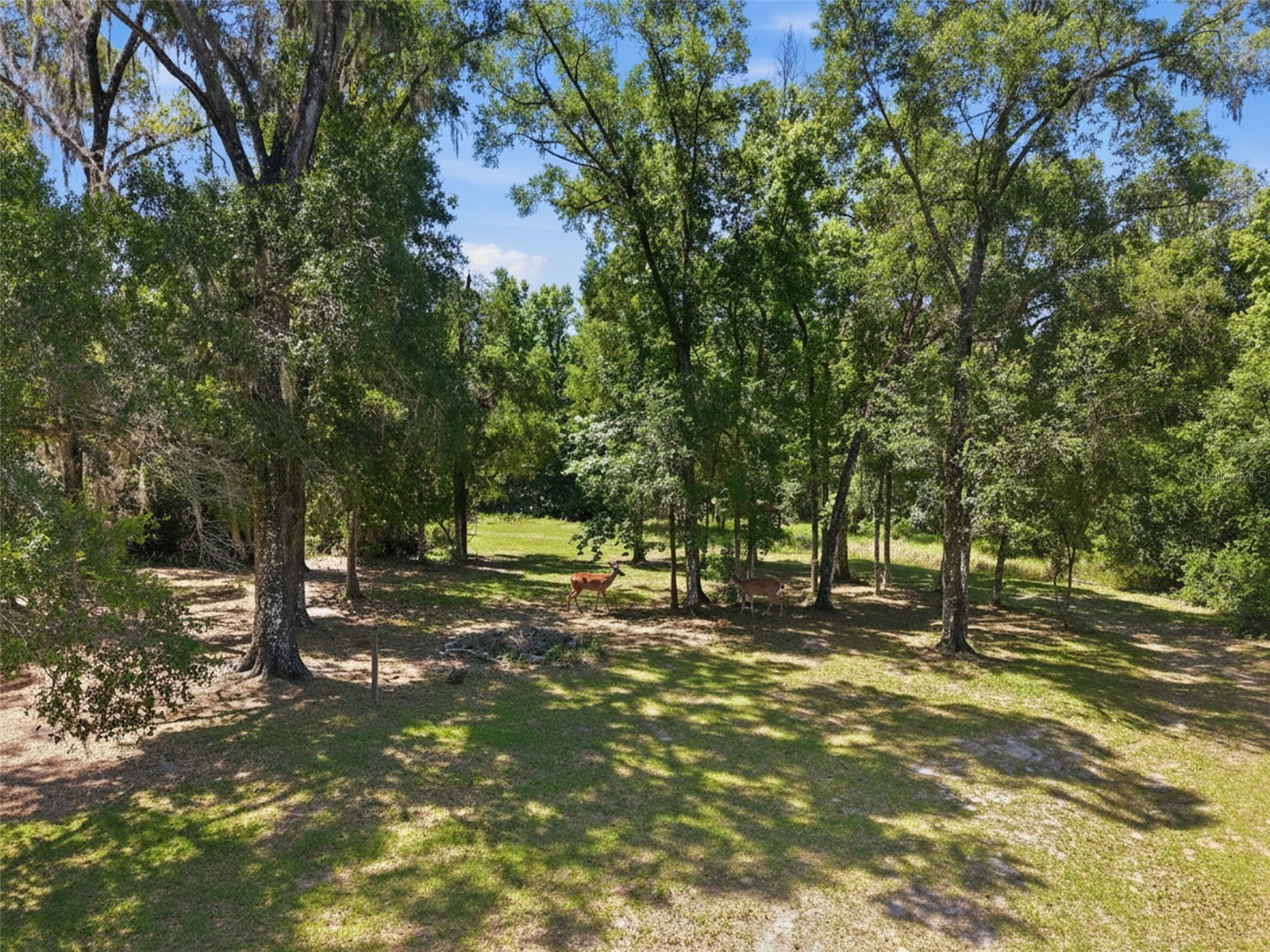 16145 Snow Memorial Highway Brooksville FL 34601 W7883279 image59