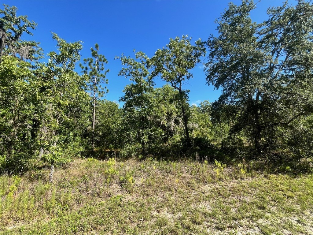 16147 Sheldrake Loop Weeki Wachee FL 34614 T3528489 image1