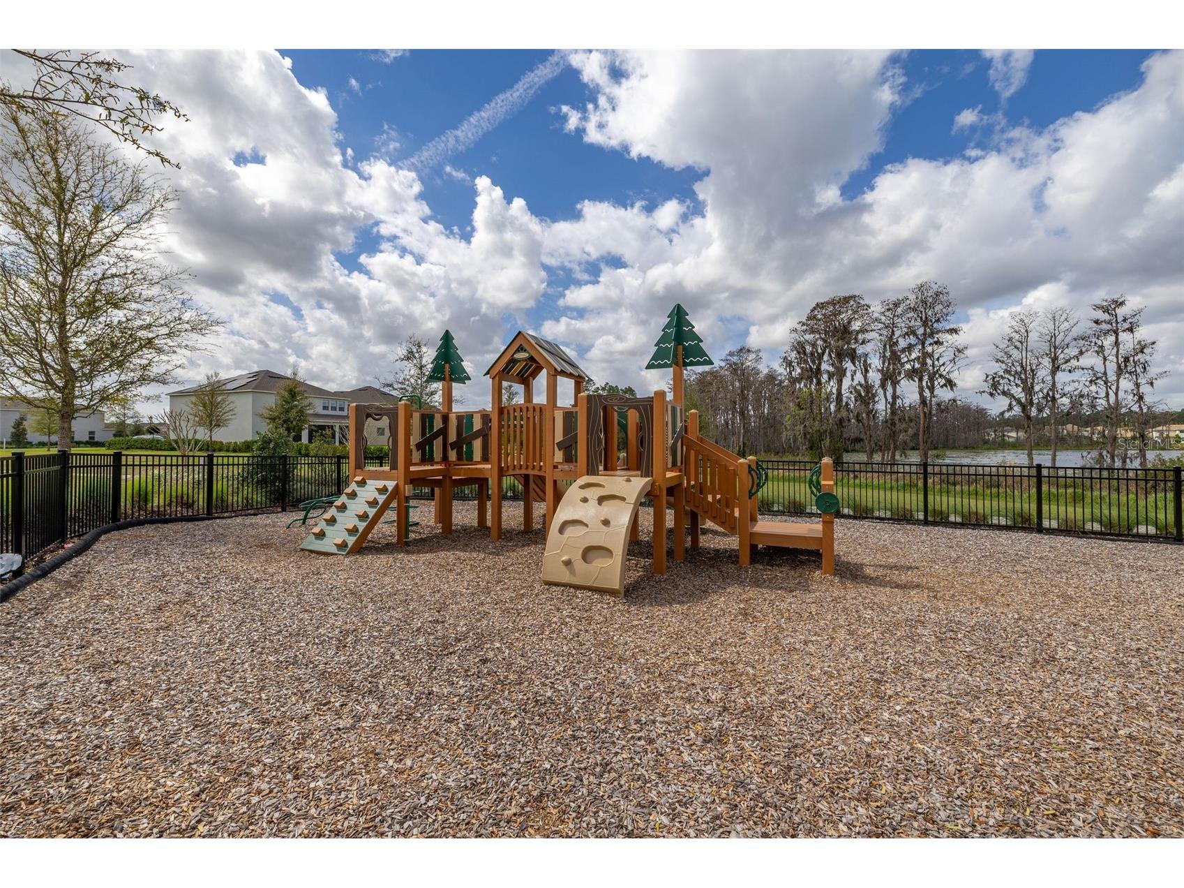 16149 Wind View Lane Winter Garden FL 34787 O6389892 image41