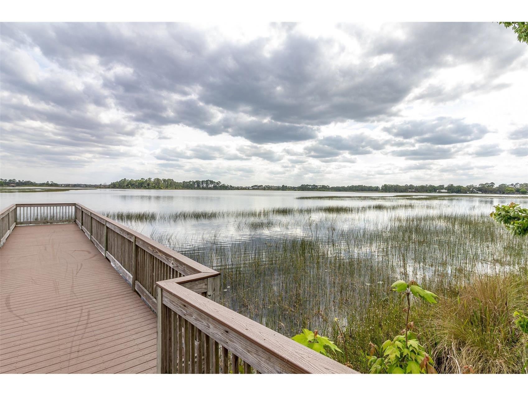 16149 Wind View Lane Winter Garden FL 34787 O6389892 image44