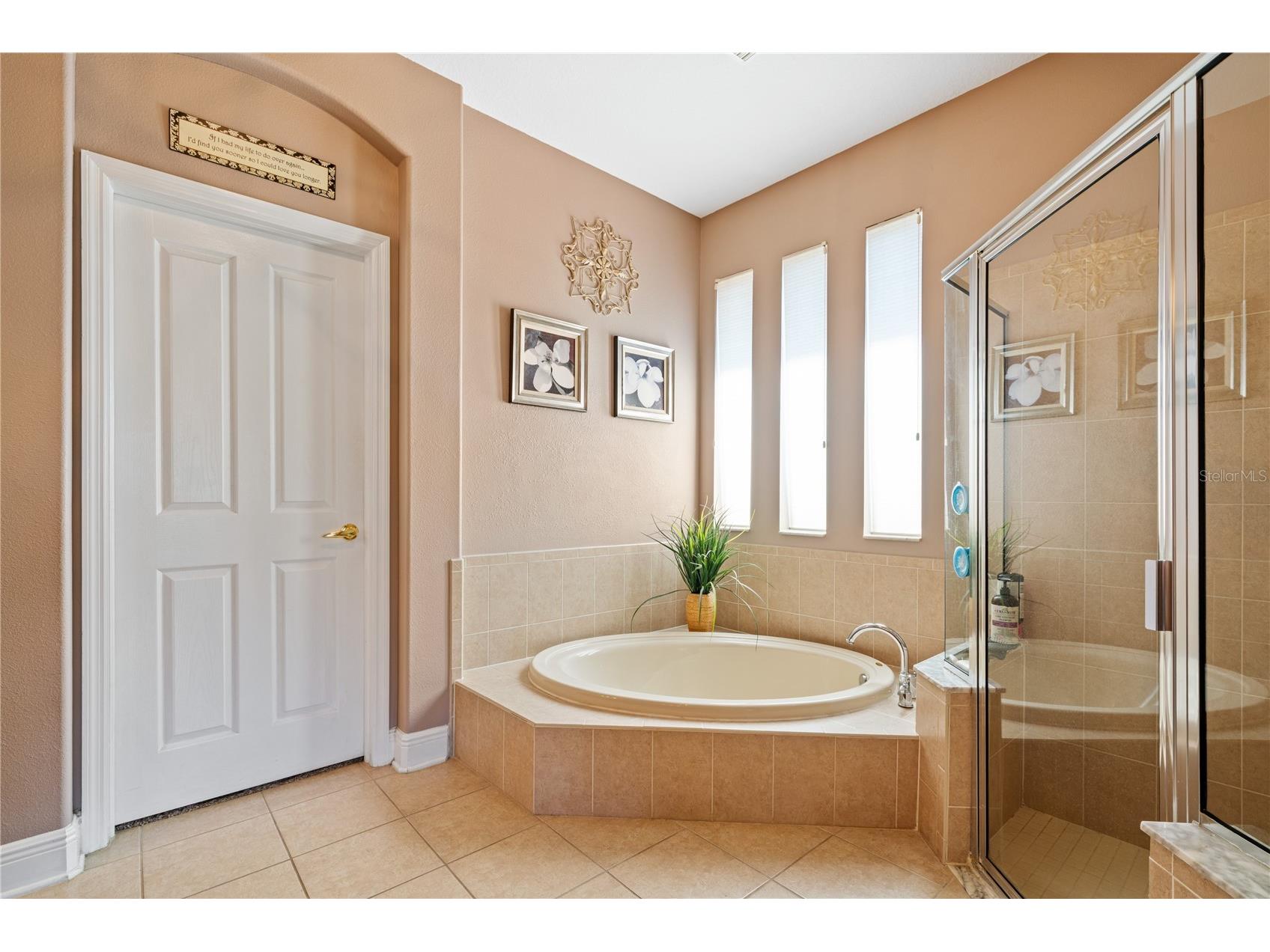 1615 Beaconsfield Drive Wesley Chapel FL 33543 TB8490759 image31