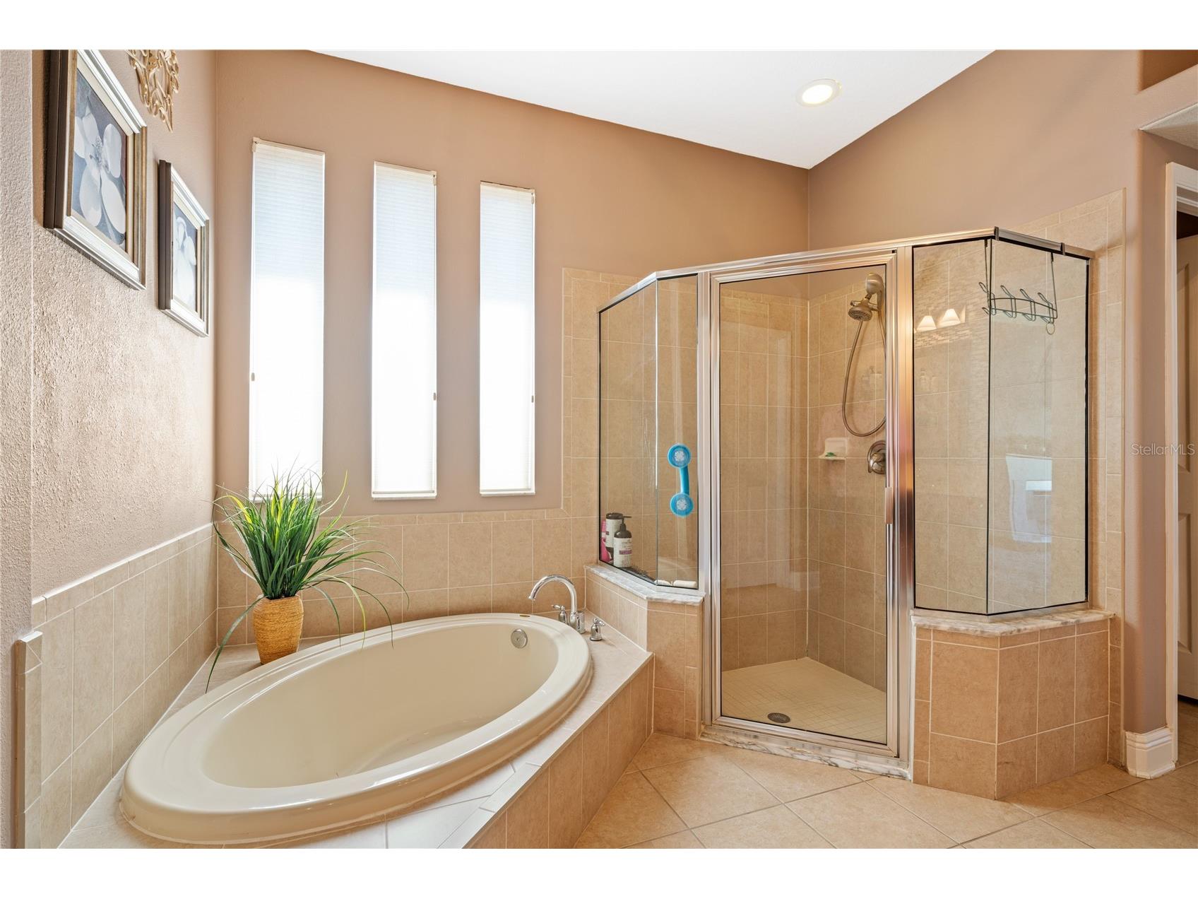 1615 Beaconsfield Drive Wesley Chapel FL 33543 TB8490759 image33