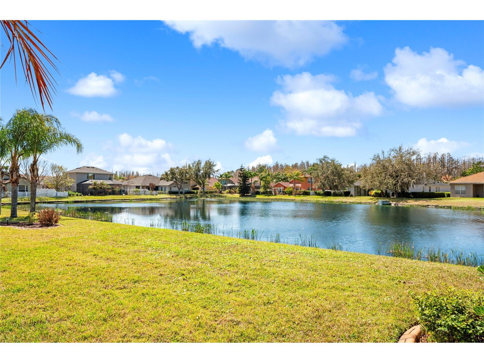 1615 Beaconsfield Drive Wesley Chapel FL 33543 TB8490759 image35