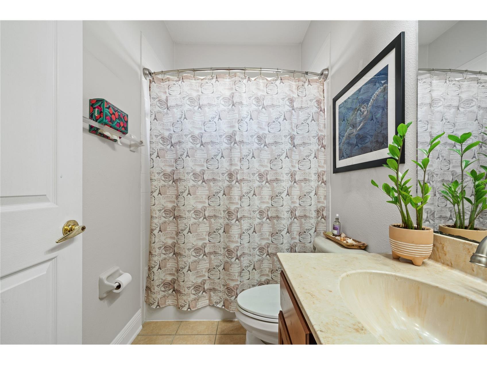 1615 Beaconsfield Drive Wesley Chapel FL 33543 TB8490759 image46