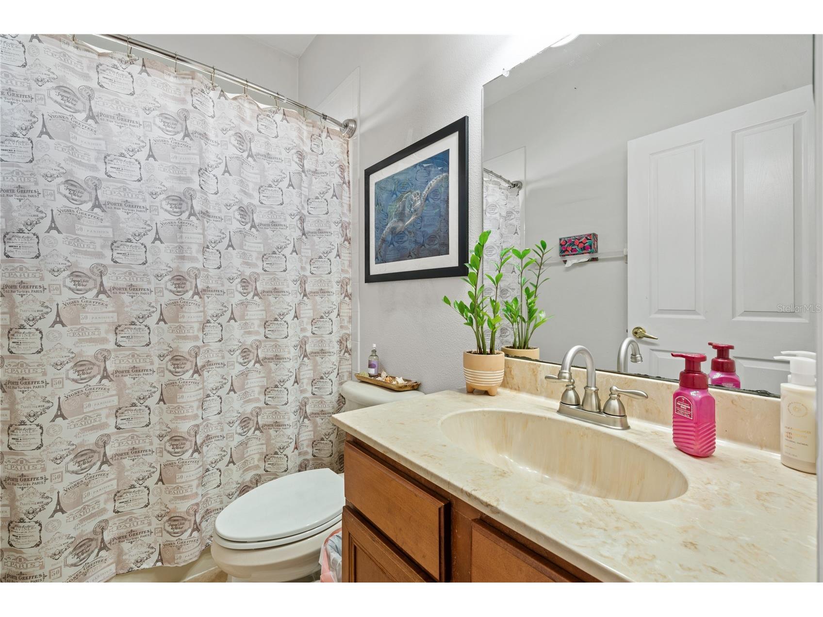 1615 Beaconsfield Drive Wesley Chapel FL 33543 TB8490759 image47
