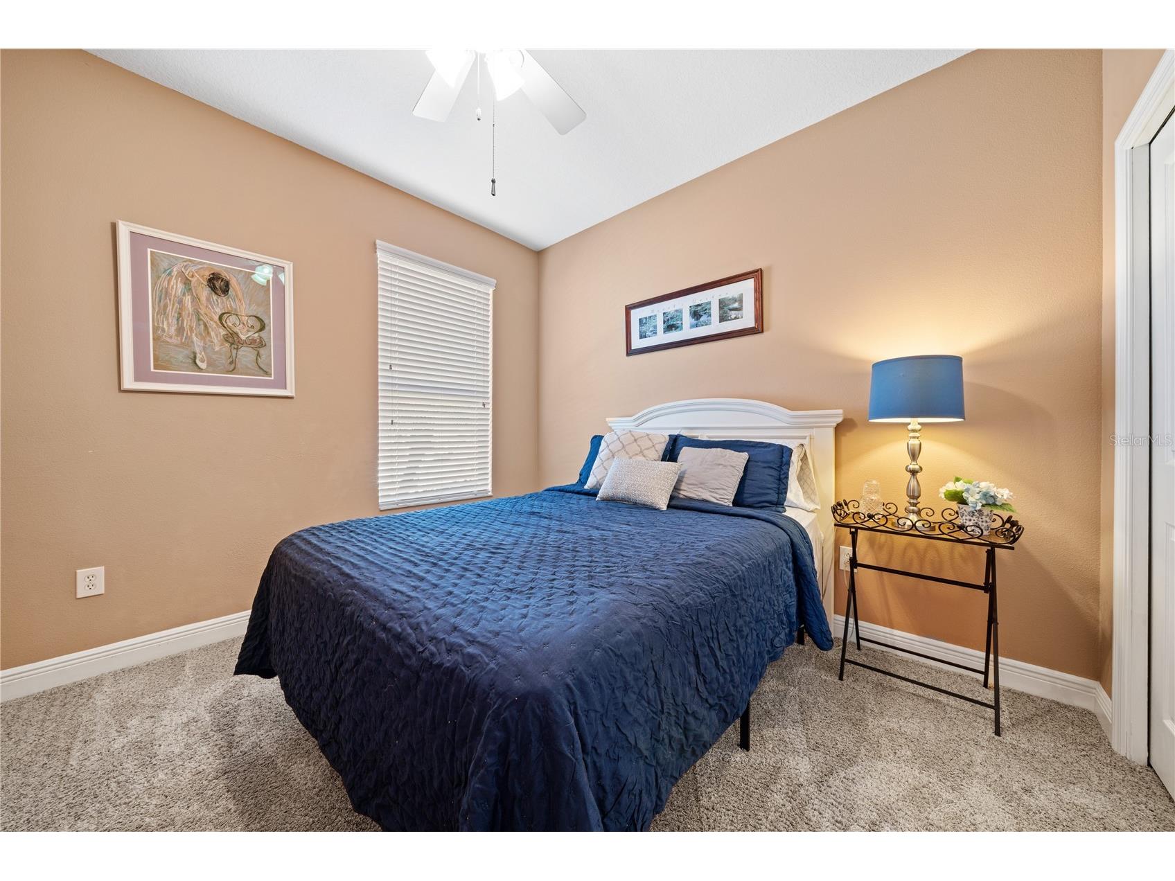 1615 Beaconsfield Drive Wesley Chapel FL 33543 TB8490759 image53