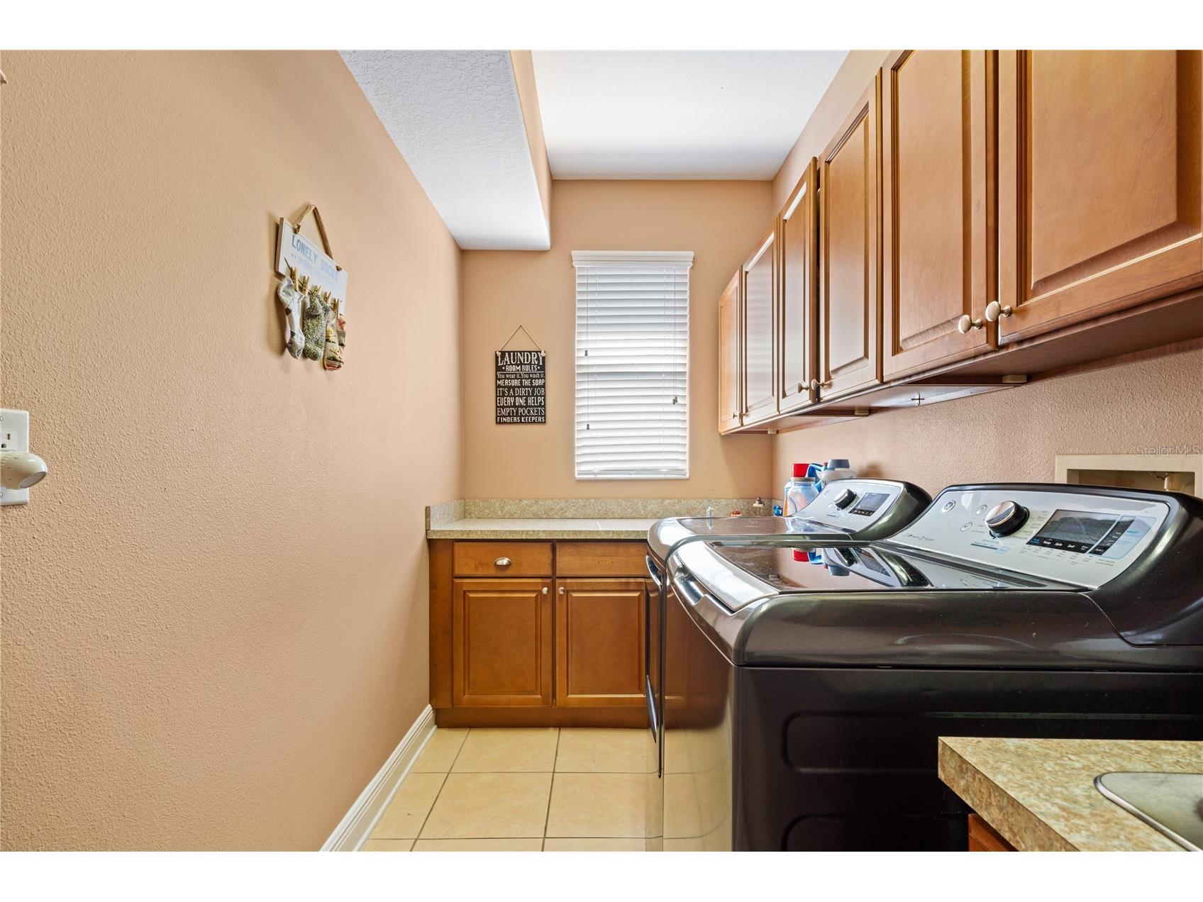 1615 Beaconsfield Drive Wesley Chapel FL 33543 TB8490759 image59