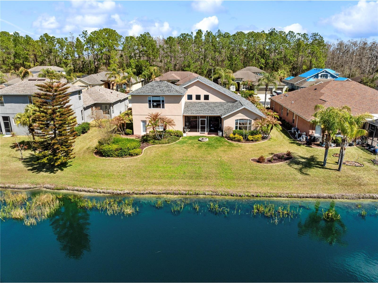 1615 Beaconsfield Drive Wesley Chapel FL 33543 TB8490759 image6