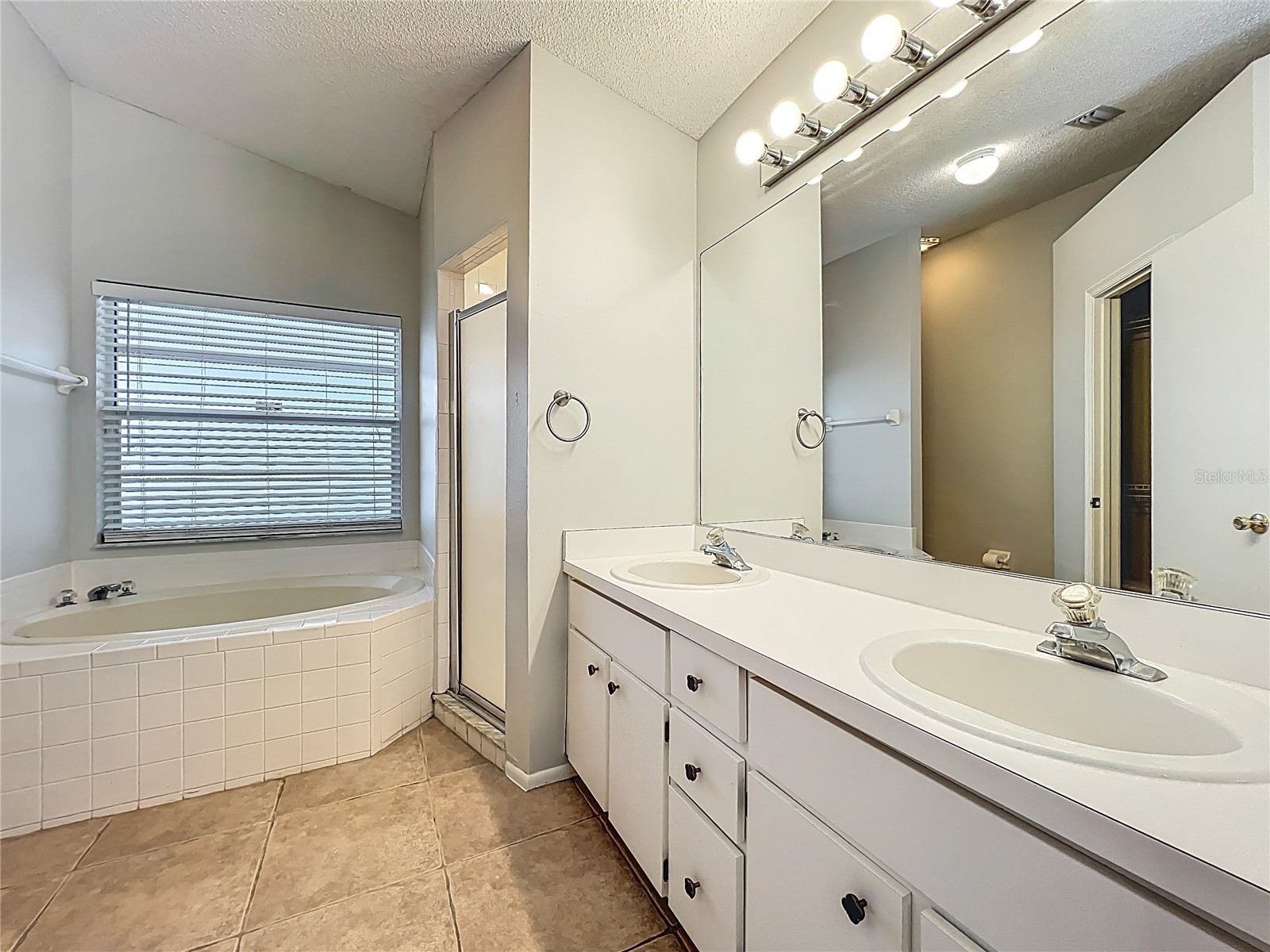 1615 Callie Court Apopka FL 32703 O6393365 image11