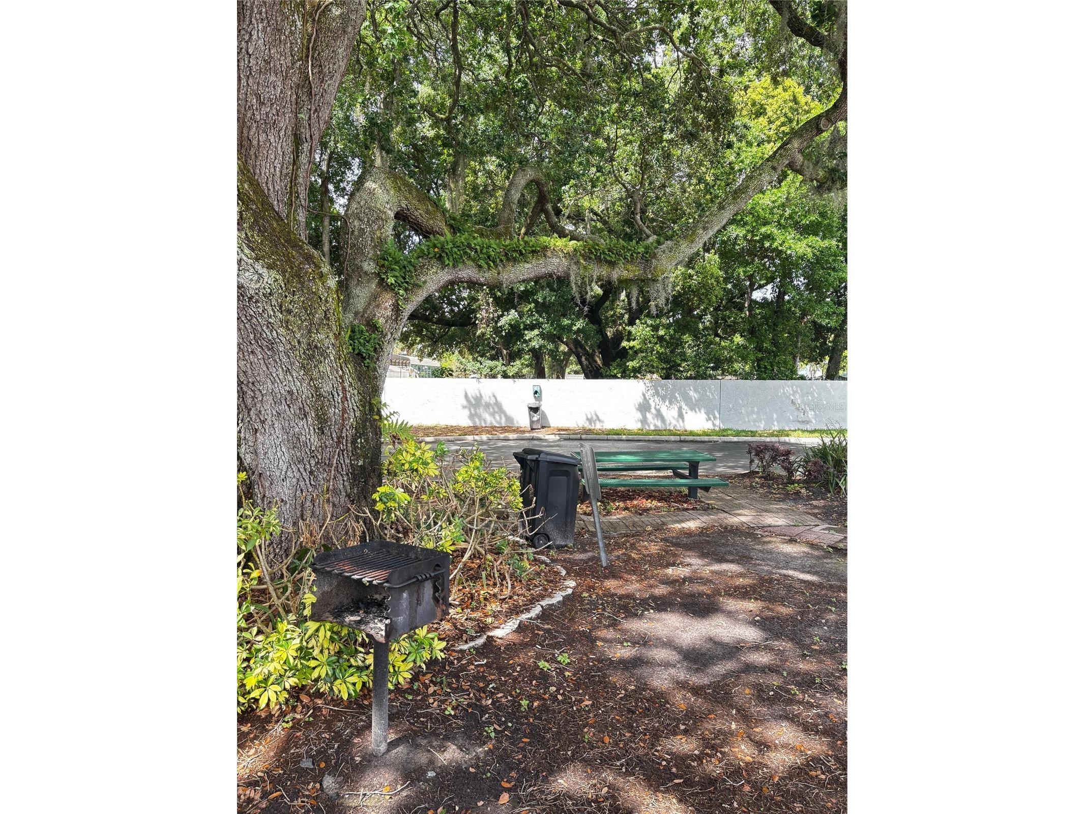 1615 Columbia Arms Circle #251 Kissimmee FL 34741 S5147234 image21