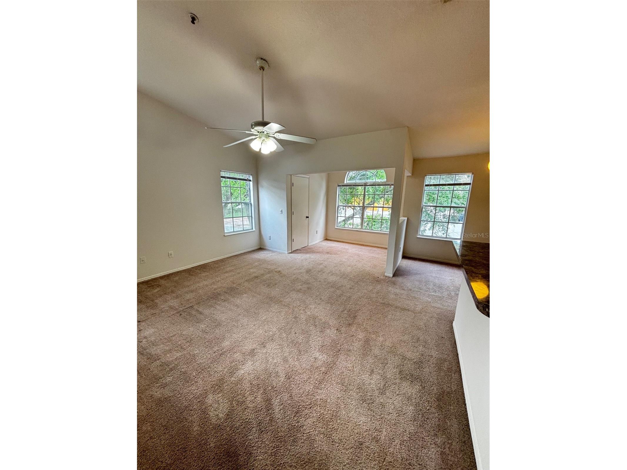 1615 Columbia Arms Circle #251 Kissimmee FL 34741 S5147234 image4