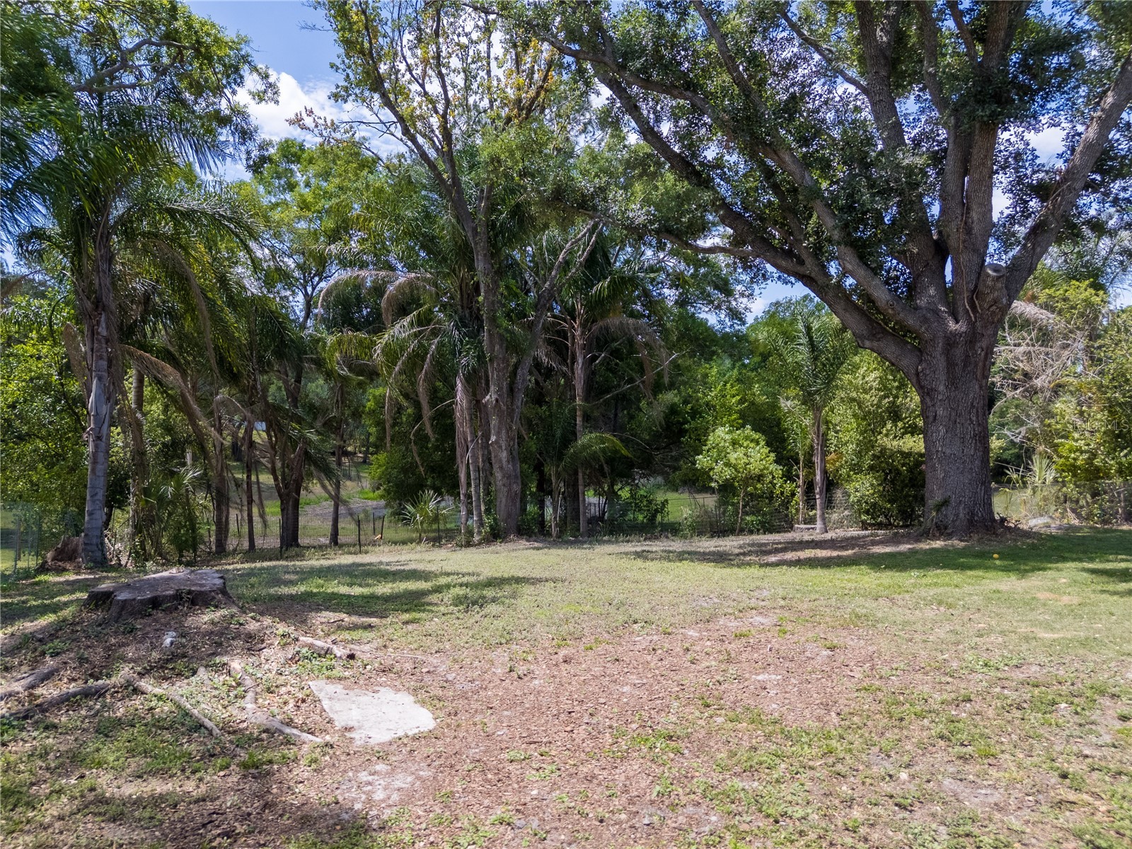 1615 Dawnridge Court Brandon FL 33510 TB8503615 image41