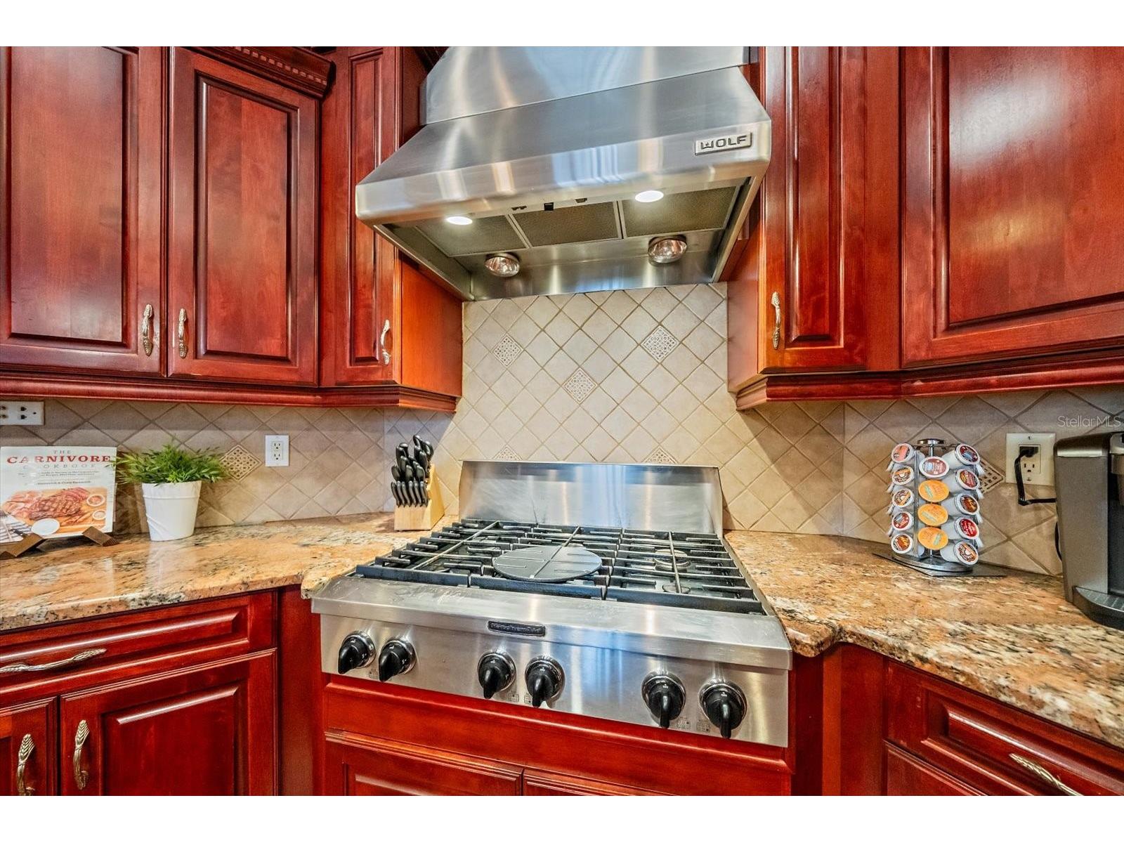 1615 Heritage Drive Valrico FL 33594 A4691532 image13