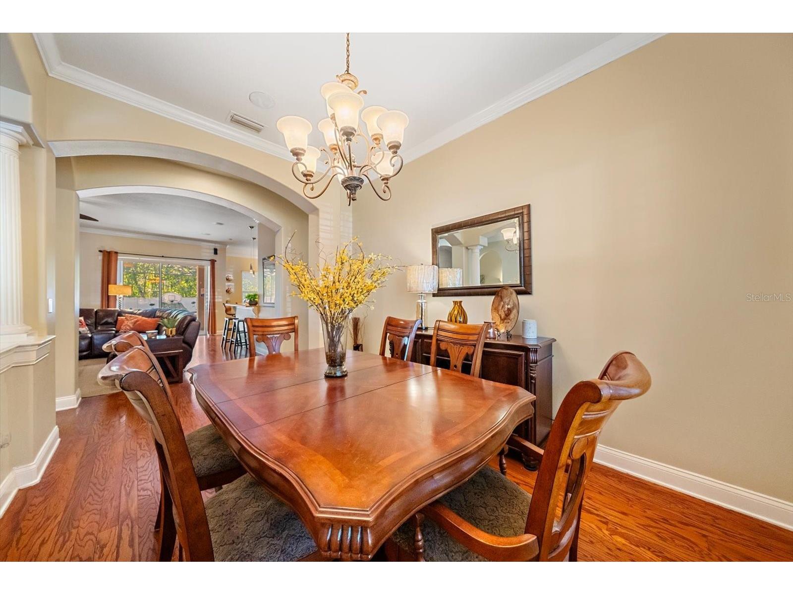 1615 Heritage Drive Valrico FL 33594 A4691532 image18