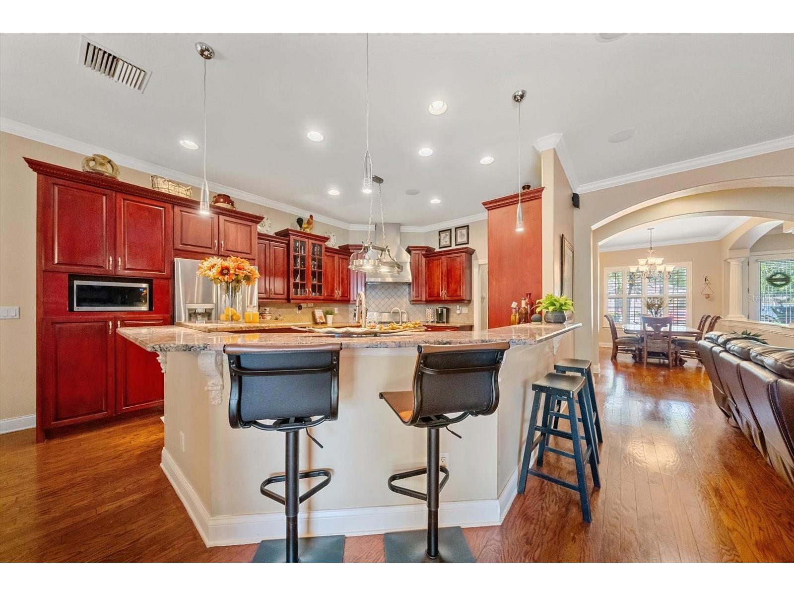 1615 Heritage Drive Valrico FL 33594 A4691532 image7
