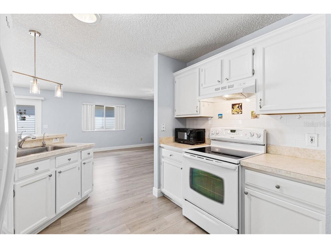 1615 Navidad Street The Villages FL 32162 G5097226 image14