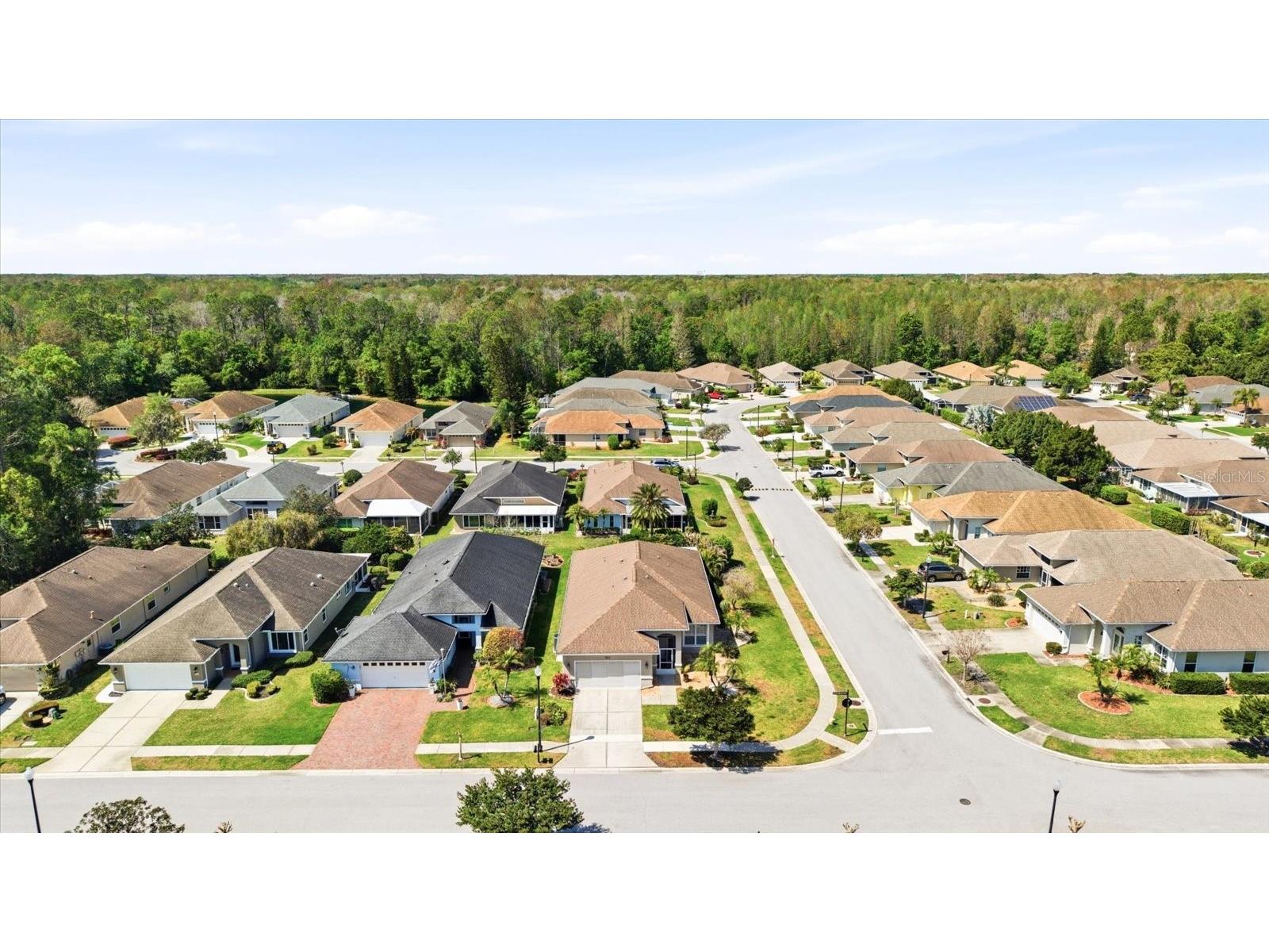 1615 Orchardgrove Avenue New Port Richey FL 34655 TB8488239 image35