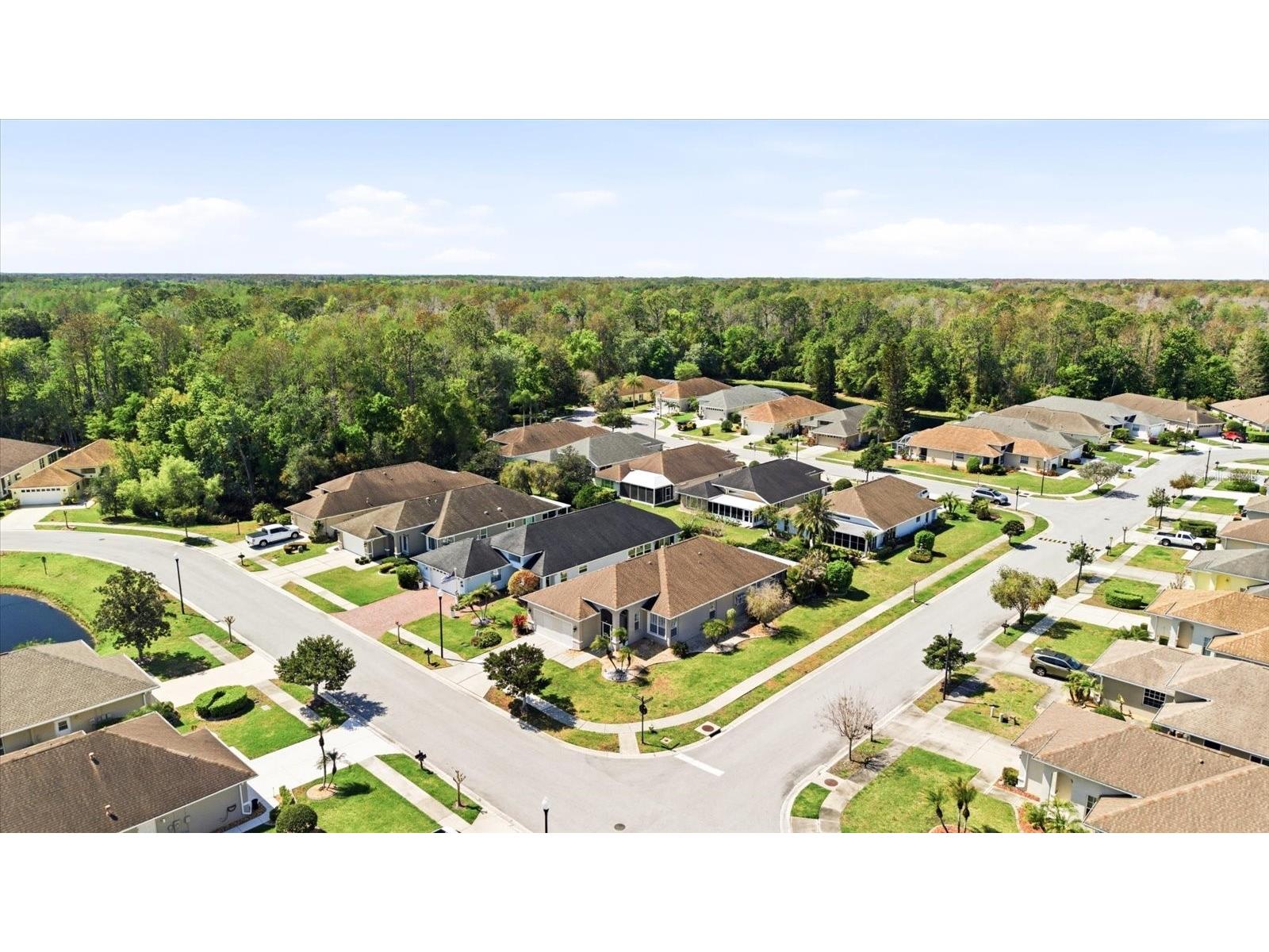 1615 Orchardgrove Avenue New Port Richey FL 34655 TB8488239 image36