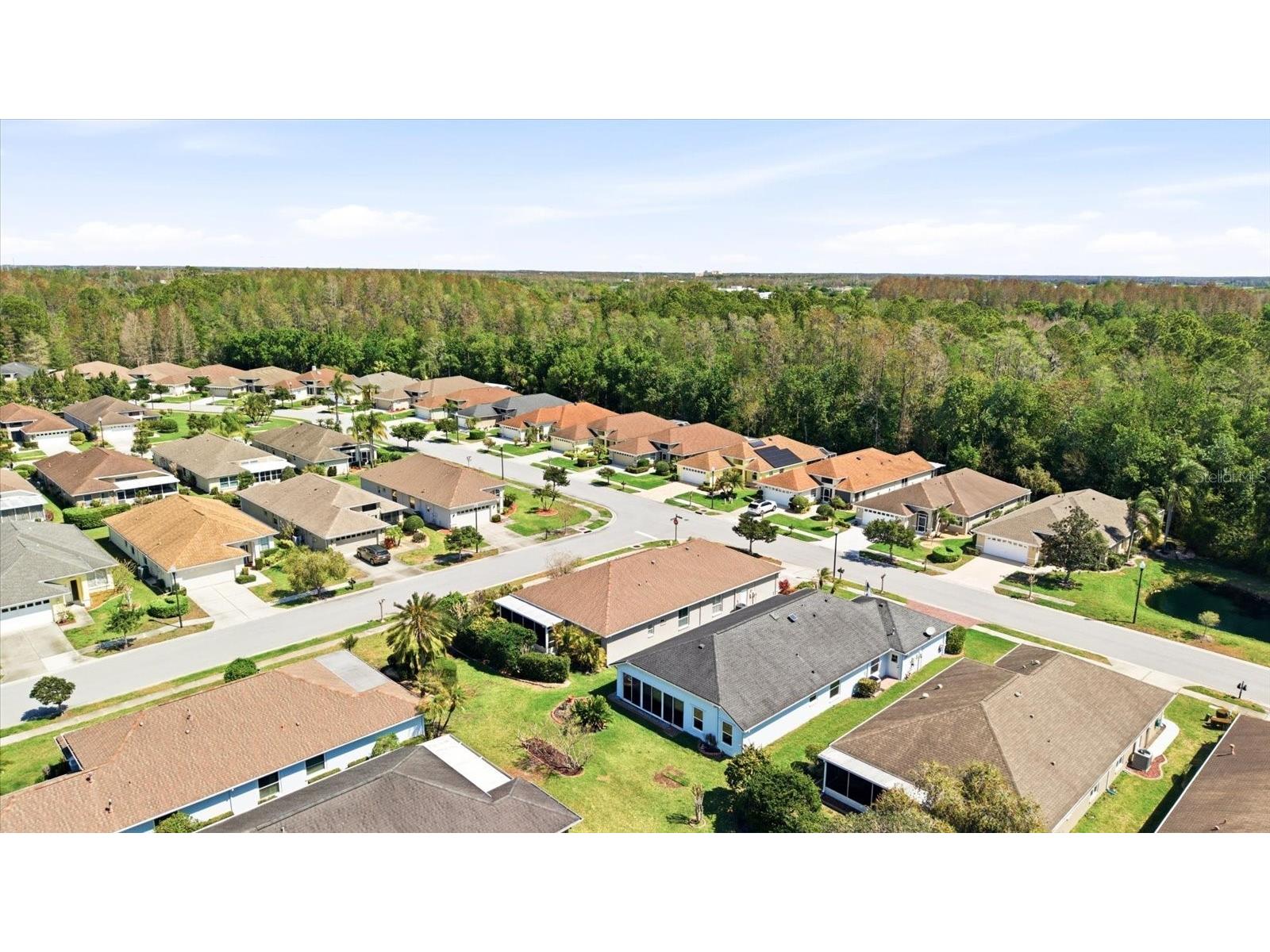 1615 Orchardgrove Avenue New Port Richey FL 34655 TB8488239 image38