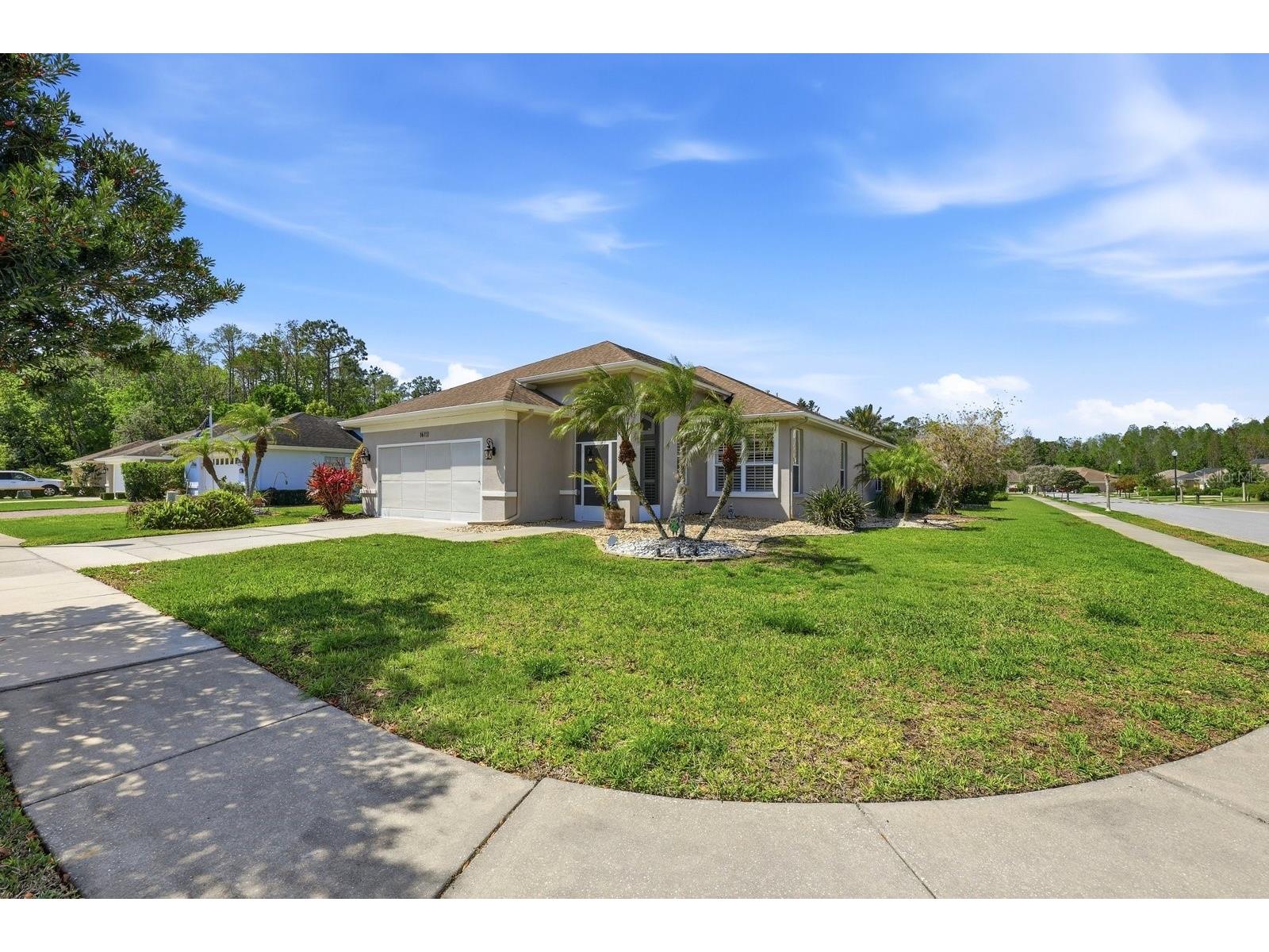 1615 Orchardgrove Avenue New Port Richey FL 34655 TB8488239 image5