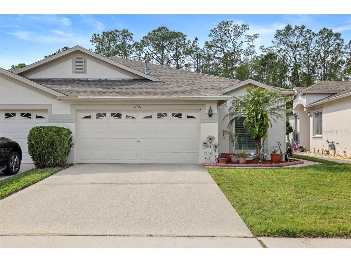 1615 Sassafras Drive Wesley Chapel FL 33543 TB8364909 image1