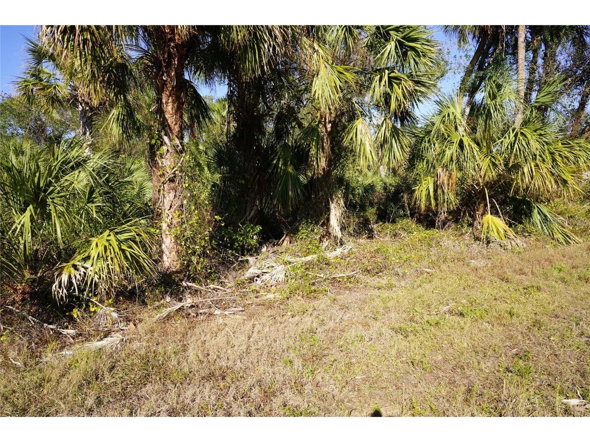 16150 Arcaro Avenue Port Charlotte FL 33954 C7503196 image1