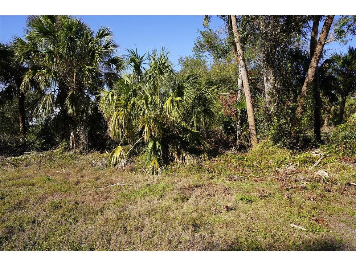 16150 Arcaro Avenue Port Charlotte FL 33954 C7503196 image2