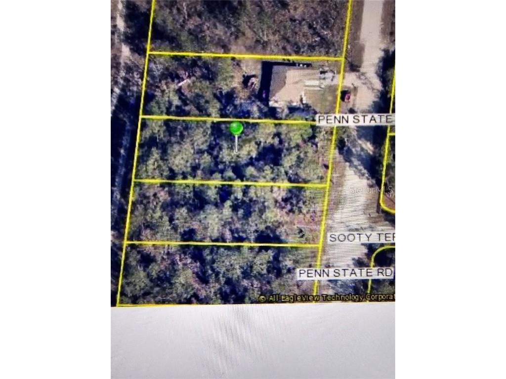 16153 Penn State Road Weeki Wachee FL 34614 T3551129 image1