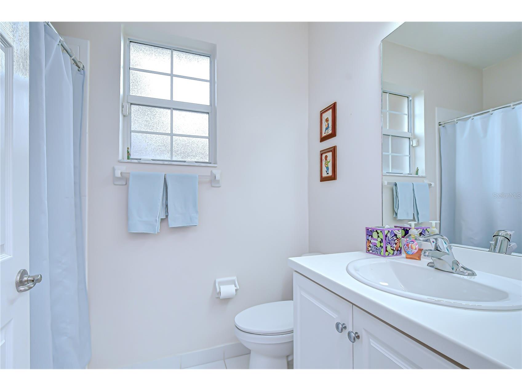 16158 Amethyst Key Drive Wimauma FL 33598 TB8481360 image18