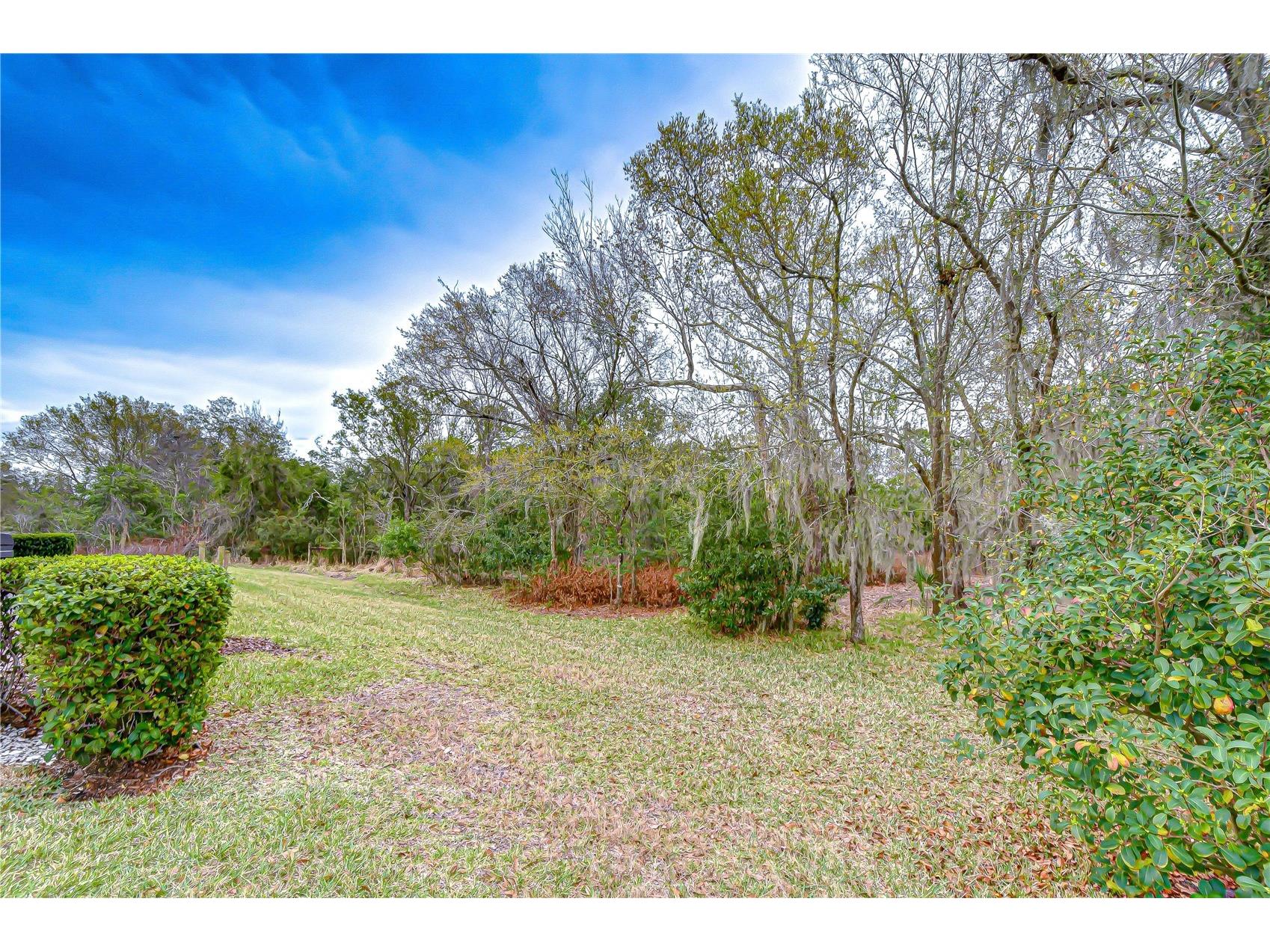 16158 Amethyst Key Drive Wimauma FL 33598 TB8481360 image3