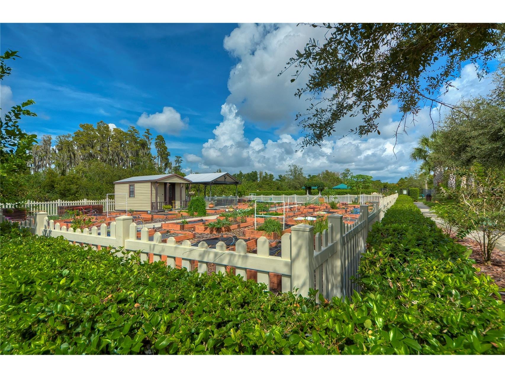 16158 Amethyst Key Drive Wimauma FL 33598 TB8481360 image31