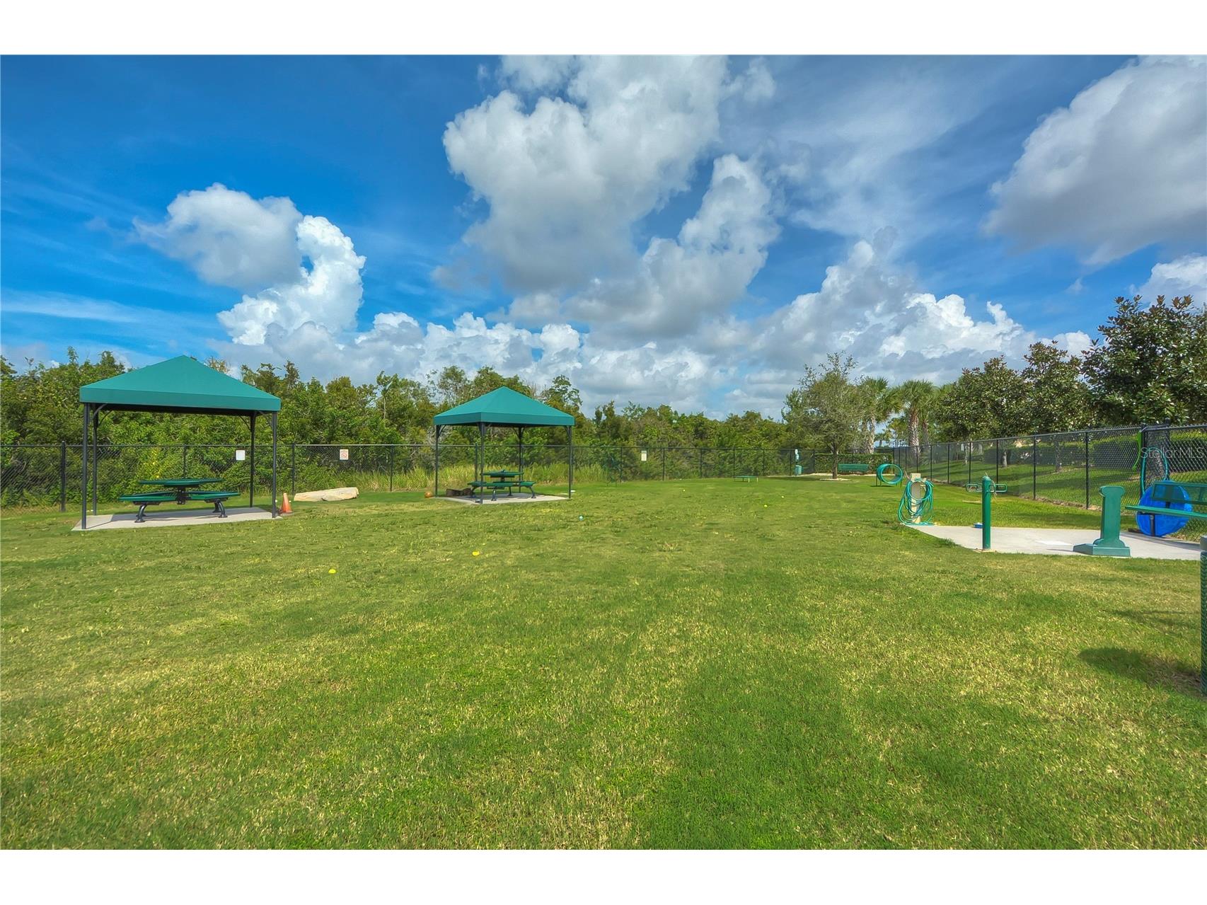 16158 Amethyst Key Drive Wimauma FL 33598 TB8481360 image33